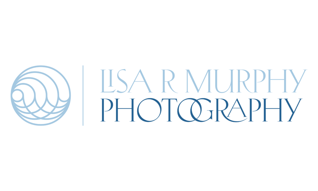 A black and blue logo for lisa r murray photography.