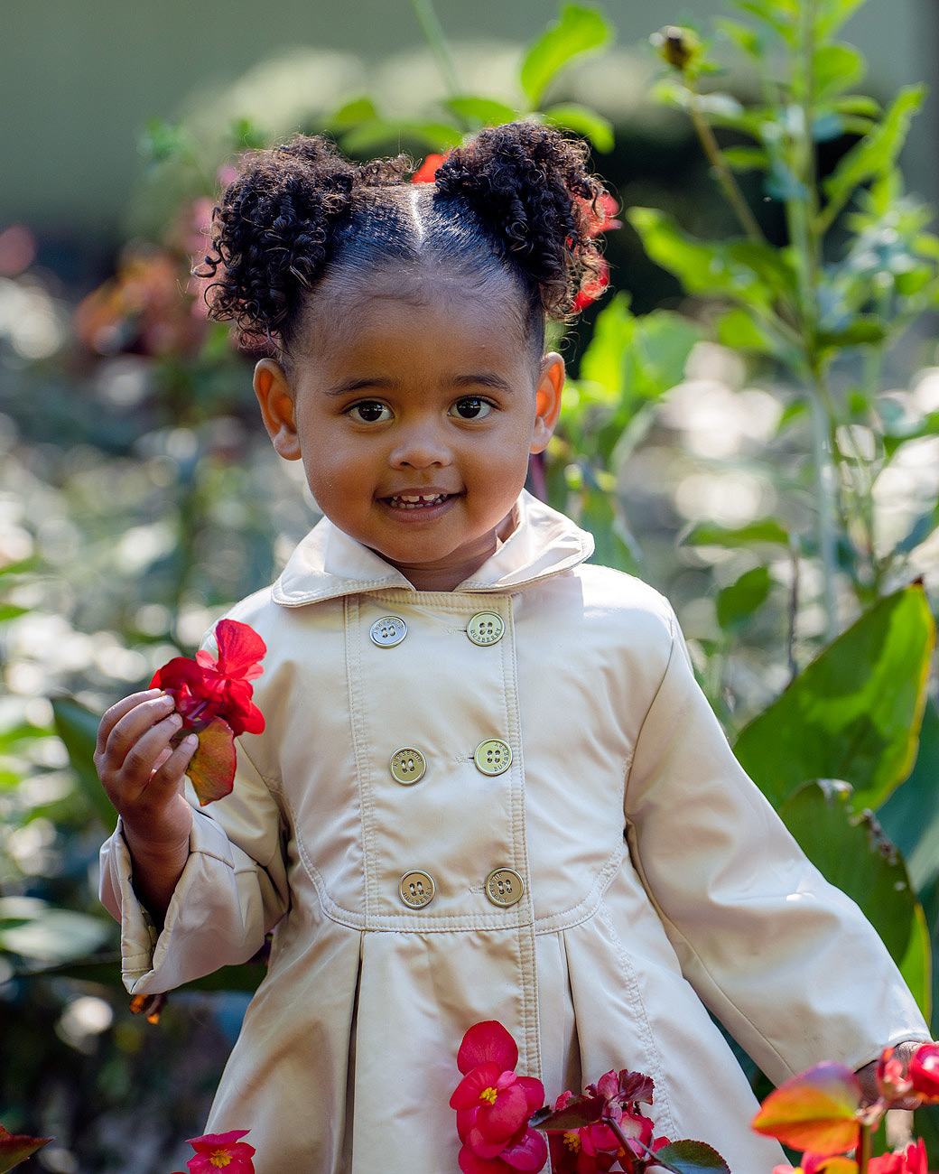 A little girl in a white coat holding a red flower.